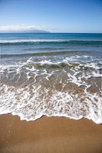 Příroda nedaleko hotelu