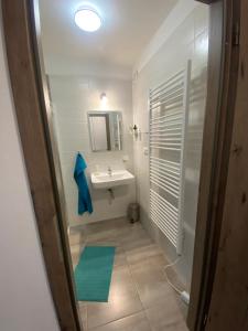 Koupelna v ubytování Apartmán Plovárna + 15 fotografií