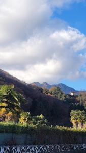 Φυσικό τοπίο κοντά σε αυτό το διαμέρισμα