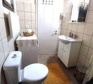 a bathroom with a toilet and a sink at Vrachni Stone House in Kalavrita