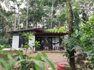 Zahrada ubytování Duni Hostel, Reserva Paway