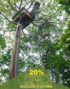 Příroda nedaleko kempu