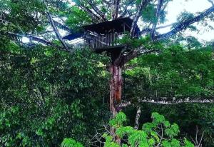 a tree house in the middle of the forest at Duni Hostel, Reserva Paway in Mocoa +8 photos