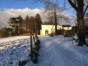 un cortile coperto da neve con una casa sullo sfondo di Castellmai a Caernarfon