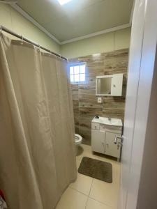 a bathroom with a shower curtain and a toilet at La Barra Apto 4 in Punta del Este