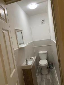 Raglan Glasgow Property في غلاسكو: حمام صغير مع مرحاض ومغسلة