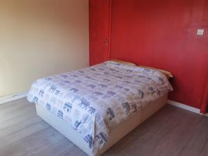 Raglan Glasgow Property في غلاسكو: سرير صغير في غرفة بجدار احمر