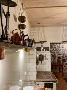 Foto dalla galleria di Stara Oranżeria Huszlew Dwór a Huszlew