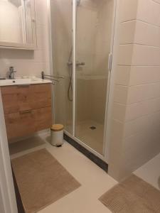 ein Badezimmer mit Dusche und Waschbecken in der Unterkunft Boshuisje Rekem Charly in Lanaken + 45 Fotos