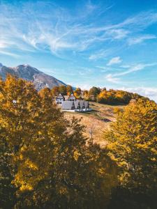 a large white building on a hill with trees at Monte zone in Žabljak