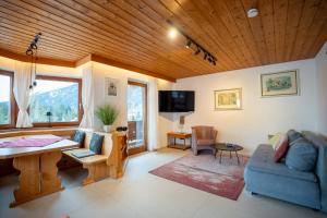 TV a/nebo společenská místnost v ubytování Schickster Sky Lodge