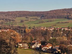 a small town in a valley with trees and houses at Pension Forellenhof in Bad Soden-Salmünster
