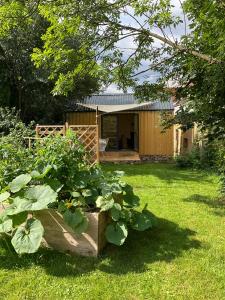 un jardín con una caja de madera con plantas. en Tinyhouse v zahradě, 
