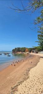 een zwerm vogels op een strand bij CL Sunset House in Búzios
