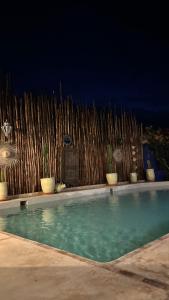 ein Swimmingpool mit Topfpflanzen und einem Holzzaun in der Unterkunft Villa Aloe Vera Privée in Essaouira