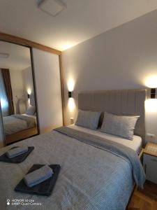 a bedroom with a large bed with a large mirror at Splendid J&R apartman in Bijeljina +22 photos