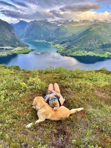 Naturlandskabet i nærheden af feriehuset + 37 billeder