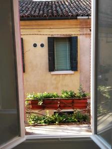 ein Fenster mit Blick auf ein Gebäude mit Pflanzen in der Unterkunft Butterfly Guest House in Venedig