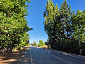 an empty road with trees on either side at Cabaña Tranquilidad en Familia in Chillán +3 photos