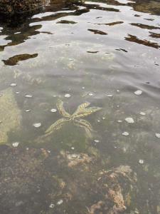Θέα στο ποτάμι κοντά σε αυτό το σαλέ