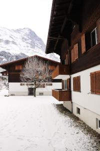 a snow covered building with a tree in front of it at Brand New, 5min to Ski PARADISE ! in Grindelwald