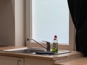 98 Apparthotel - Botanique 2 في لييج: حوض المطبخ مع زجاجة صودا بجوار النافذة