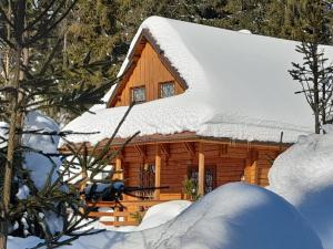 a log cabin with snow on the roof at Chata MOBY in Važec