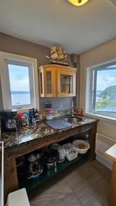 a kitchen with a counter and a sink and two windows at Suite 1 Flèche du fjord vue Saguenay Monts Valin in Saint-Fulgence