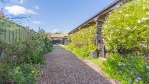 EpsomNouvelle Studio的花园里一条铺着碎石的小路，路旁鲜花盛开。