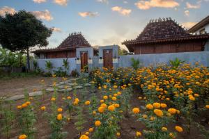 a field of oranges in front of two buildings at Langkih Private Villas in Tegalalang