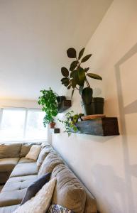 Χώρος καθιστικού στο Quiet & Convenient