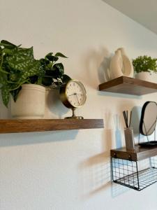 een klok en een potplant op een plank bij New Cozy Apartment in Meadow Lakes