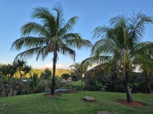 two palm trees in a park with a green field at Pousada do Barão in Lindóia