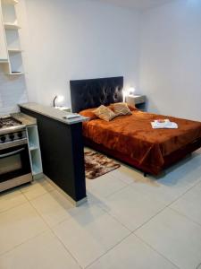 ein Schlafzimmer mit einem Bett, einer Arbeitsfläche und einem Herd in der Unterkunft Bonaires V departamento monoambiente cerca de la costanera in Corrientes