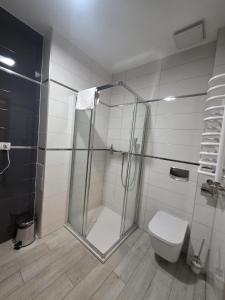 Koupelna v ubytování Apartament Czarna Góra Solden 37 + 1 fotografie