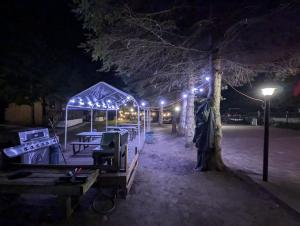 a park lit up at night with tables and a tree at Tiny Wood Cottage 08 in Wasaga Beach +7 photos