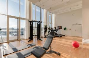 a gym with cardio equipment in a large room with windows at River Residenz Basel&Huningue in Huningue
