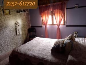 En eller flere senge i et værelse på La casita de ramon