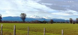 Fotografie z fotogalerie ubytování CABAÑA RAIZ INDOMITA PINTO Ñuble 