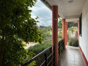 Zahrada ubytování El Agave