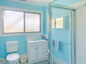 a blue bathroom with a toilet and a shower at 158 Wallaga Lake in Bermagui +14 photos