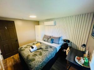 Cozy Small Room - Queen bed - Free Parking in Charlottetown في شارلوت تاون: غرفة نوم صغيرة مع سرير وطاولة