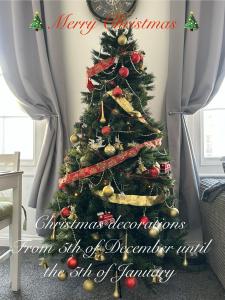 Seaside stay in Teignmouth في تيغنماوث: شجرة عيد الميلاد عليها ديكورات في الغرفة