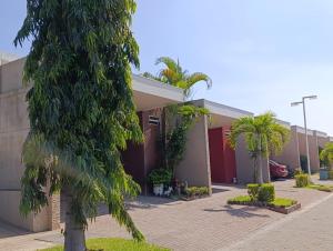 a building with a palm tree in front of it at Beautiful and cozy home with Rent a car available in San Salvador
