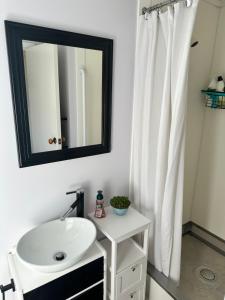 Dark Sky Cottage في غريتاون: حمام مع حوض أبيض ومرآة