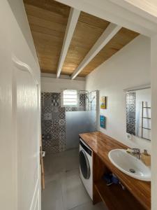 a bathroom with a sink and a washing machine at Appartement neuf a 150 metres de la mer wifi in Le Diamant +68 photos