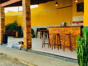 a dog sitting in the middle of a patio at Rancho tareco e mariola in Petrolina