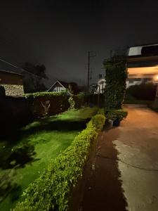 Un patio con plantas verdes al costado de una casa. en Tuckedinn home, en Shillong