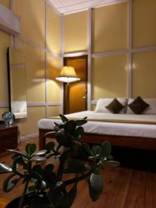 1 dormitorio con 1 cama y planta en el primer plano en Tuckedinn home, en Shillong