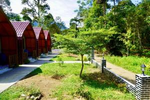 Ecotourism Bukit Lawang Bungalow في بوكيت لاوانج: شجرة في حديقة بجوار سياج +12 صورة